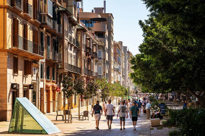 A sunny, tree-lined pedestrian street in central Palma, featuring people walking past elegant Mediterranean buildings with traditional shuttered balconies.