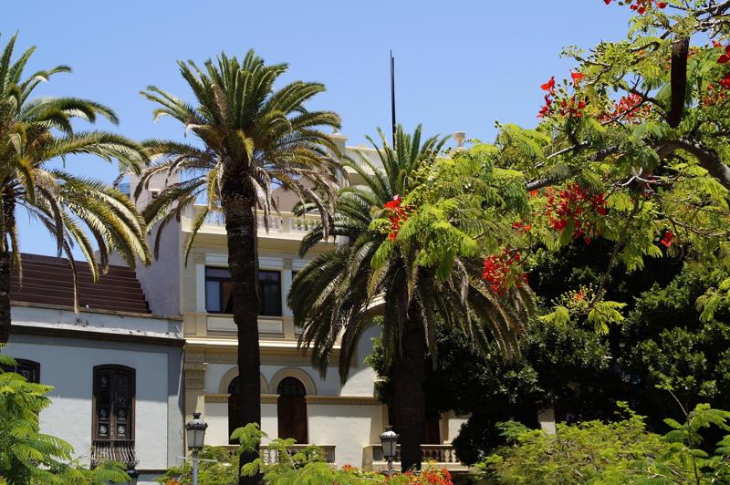 Historic colonial-style buildings with traditional balconies, framed by tall palm trees and vibrant red flamboyant flowers under a clear blue sky.