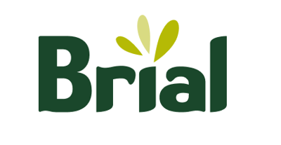 Brial, Estate Agents, Zaragoza city, Zaragoza