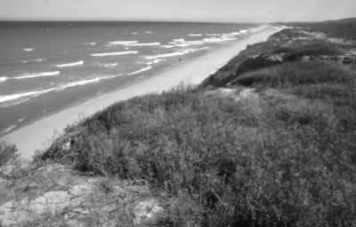 Sand dunes debate