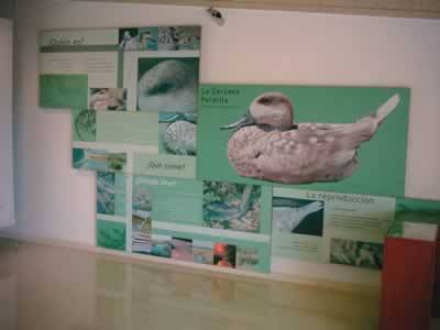 El Hondo nature reserve centre                                                                                                                        