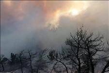 Gran Canaria on high alert as arsonists attack again