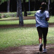 Turia riverbed: Valencia's Garden of Eden