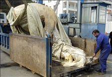 Badly decomposed whale washes up on Girona coast
