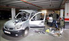 Sniffer dog survives accidental explosion