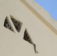 Snake invasion residents protest outside Town Hall