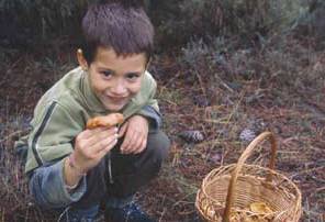 A perfect mushrooming moment