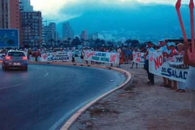Demonstrators against Las Salinas developments