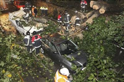 Oak tree falls on cars in Vigo after heavy rains