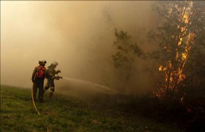 Firefighter dies as 16 fires burn thousands of acres in northern Spain