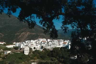 Marbella’s unlikely neighbour