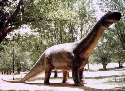 Unknown species of dinosaur found in Teruel area