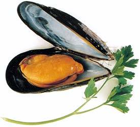 Mussels from Spain taken off sale in France following gastroenteritis claims