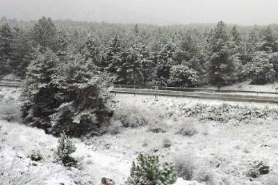 Deep-freeze across Spain sees thermometers plummet to -8ºC inland and 1ºC on the Mediterranean coast