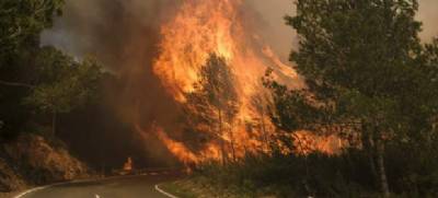 Ibiza forest fire forces evacuation of 100 residents