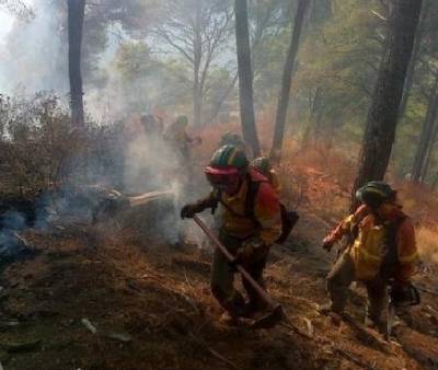 Inferno rages through Málaga woodland as 17 flee their homes and hotels