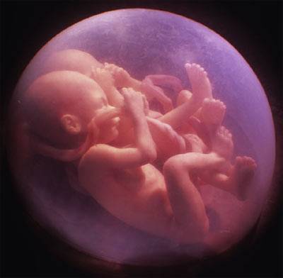 Egg-freezing on the rise for women in Spain, but cost and lack of awareness continues to be a barrier