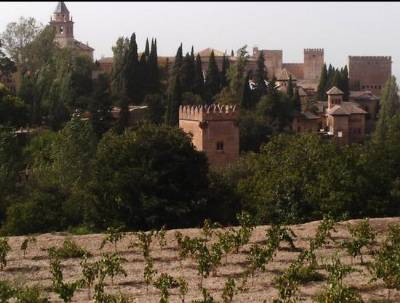 Record year for Alhambra Palace