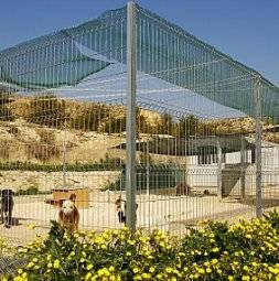 British woman fined for inventing injuries inflicted by MP at animal shelter