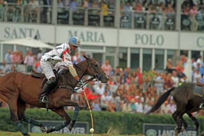 Top international polo club to get five-star complex, designer shops and an equestrian showground