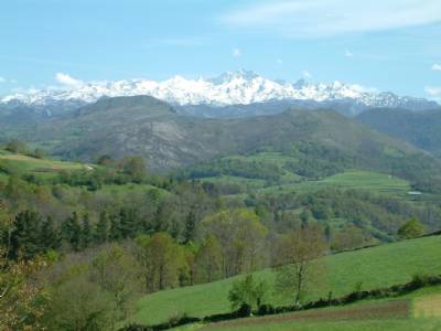 Brits love 'bargain' homes in picture-perfect green Cantabria