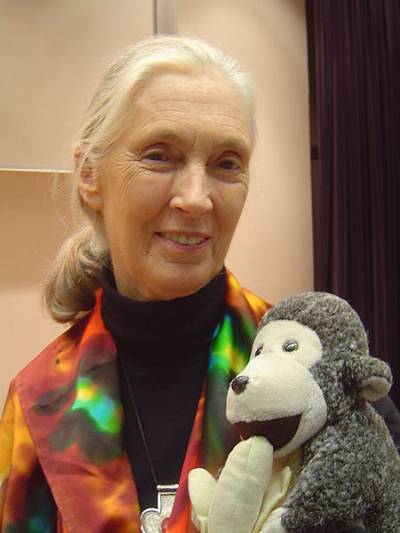 English wildlife expert Jane Goodall slams Mallorca chimpanzee deaths