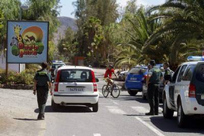 Zoo worker injured after three chimpanzees escape