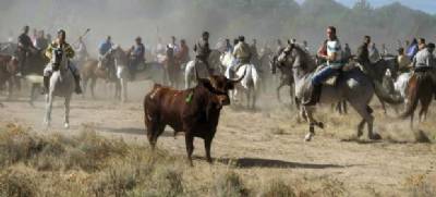 Huge celebrities offer free festival if Tordesillas bans bullfights, but mayor says no