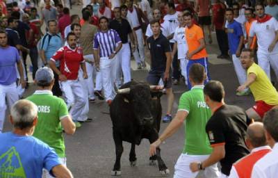 Loose fiesta bull roaming the hills since Thursday