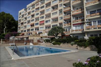 Brit expat owns up to wife's murder in Mallorca