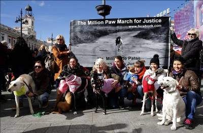 National campaign against cruel treatment of hunting hounds reaches Extremadura