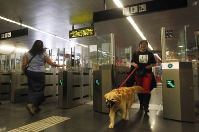 Dogs allowed on Madrid metro