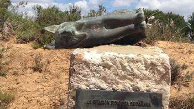 Fiesta parade damages Doñana National Park