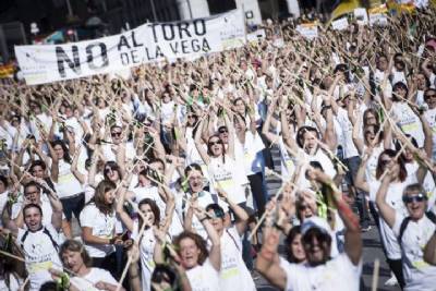Bull-fighting protest in Madrid calls for ban but celebrates abolition of Toro de la Vega