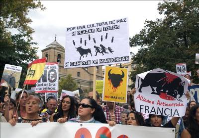 Catalunya bull-fighting ban overturned by national Constitutional Court