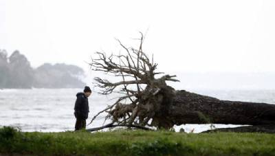 Trees uprooted, two dead and 11 injured in nationwide storms