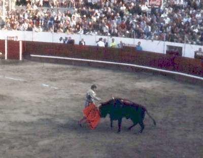 Retired bull-fighter 'El Cordobés' admits Manuel Díaz is his son a year after paternity suit