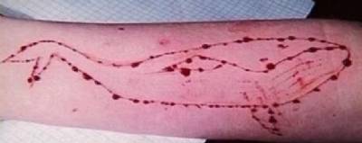 Six more 'blue whale challenge' cases found in Spain: Youngest victims aged just 12