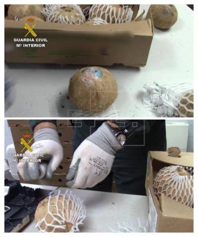 Three arrested as liquid cocaine discovered inside fresh coconuts