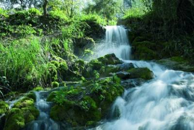 National Park number 16: Sierra de las Nieves, Málaga province