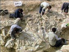 Giant dinosaur fossil discovered in Teruel
