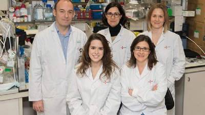Another cancer research breakthrough for Spain