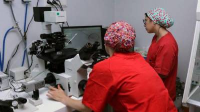 Fertility treatment to be given free to lesbians and single women