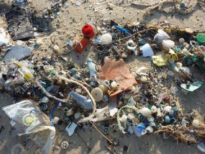 Spanish celebs choose planet over plastic