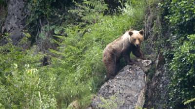 Fundación Biodiversidad: 20 years of nature conservation
