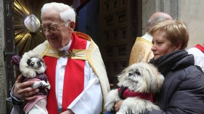 Why is everyone taking their pets to church? A 105-year-old Egyptian has the answer...