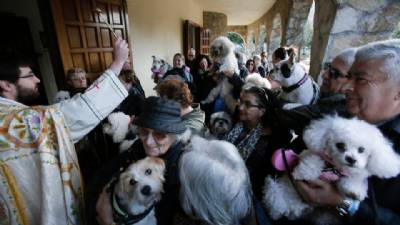 Why is everyone taking their pets to church? A 105-year-old Egyptian has the answer...