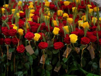 Sant Jordi book-and-flower fair a success despite downpours