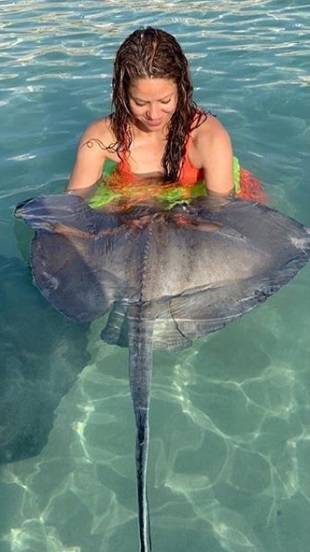 Stinging criticism for Shakira's holiday snaps...but not for Piqué