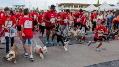 Mallorca Classic Week (and more) roars into Port Adriano
